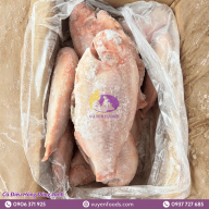 CÁ ĐIÊU HỒNG ĐÔNG LẠNH