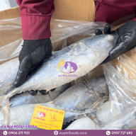 CÁ NGỪ 800GR 1300GR