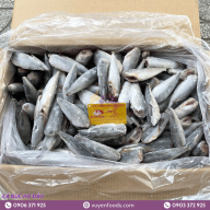 CÁ NỤC KHÔNG ĐẦU