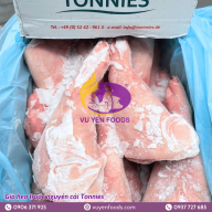 GIÒ TRƯỚC NGUYÊN CÁI TONNIES