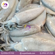 MỰC LÁ