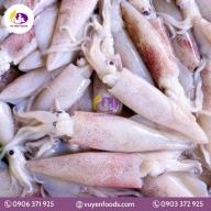 MỰC ỐNG