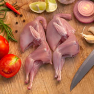  CHIM CÚT LÀM SẠCH BỎ RUỘT