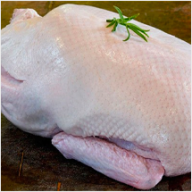 ỨC VỊT 