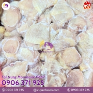 TỎI TRUNG MOUNTAIRE P667