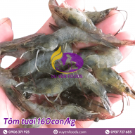 TÔM TƯƠI 160 CON