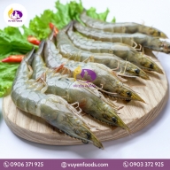 TÔM TƯƠI 160 CON