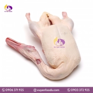  VỊT NGUYÊN CON