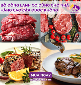 BÒ ĐÔNG LẠNH CÓ DÙNG CHO NHÀ HÀNG CAO CẤP ĐƯỢC KHÔNG