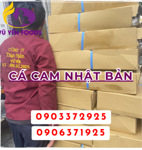 Mua thực phẩm nhập khẩu giá sỉ chất lượng tại quận 12 - Vũ Yến Foods