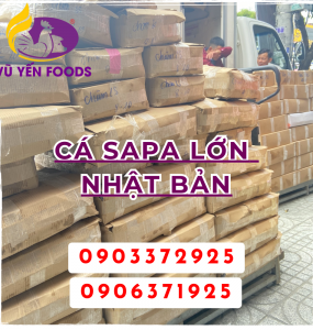 Mua thực phẩm nhập khẩu giá sỉ chất lượng tại quận Gò Vấp - Vũ Yến Foods