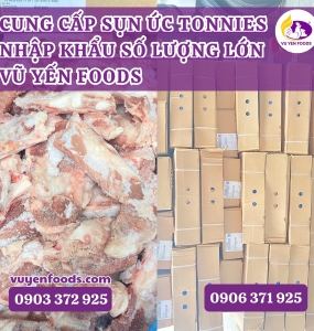 CUNG CẤP SỤN ỨC TONNIES NHẬP KHẨU SỐ LƯỢNG LỚN