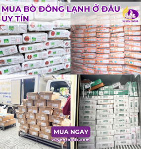 MUA BÒ ĐÔNG LẠNH Ở ĐÂU UY TÍN