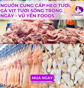 NGUỒN CUNG CẤP HEO TƯƠI, GÀ VỊT TƯƠI SỐNG TRONG NGÀY