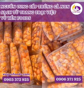NGUỒN CUNG CẤP TRỨNG GÀ NON SẠCH TỪ TRANG TRẠI VIỆT - VŨ YẾN FOODS