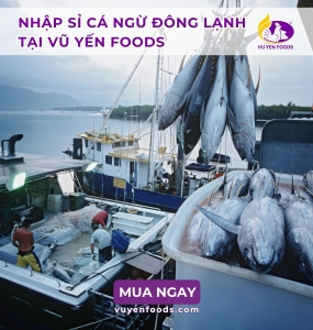 NHẬP SỈ CÁ NGỪ ĐÔNG LẠNH TẠI VŨ YẾN FOODS