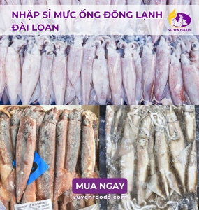 NHẬP SỈ MỰC ỐNG ĐÔNG LẠNH ĐÀI LOAN