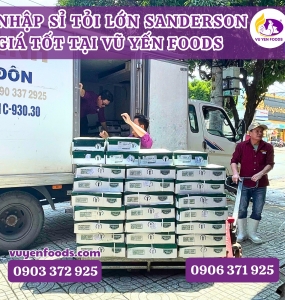 NHẬP SỈ TỎI LỚN SANDERSON GIÁ TỐT TẠI VŨ YẾN FOODS