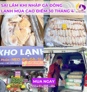 SAI LẦM KHI NHẬP GÀ ĐÔNG LẠNH MÙA CAO ĐIỂM 30 THÁNG 4