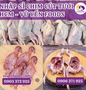 NHẬP SỈ CHIM CÚT TƯƠI HCM