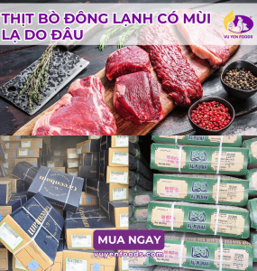 THỊT BÒ ĐÔNG LẠNH CÓ MÙI LẠ DO ĐÂU