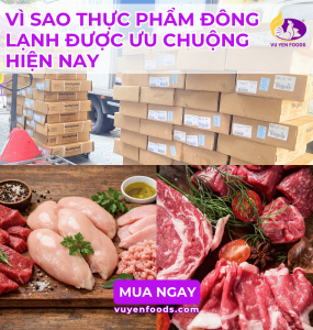 VÌ SAO THỰC PHẨM ĐÔNG LẠNH ĐƯỢC ƯU CHUỘNG HIỆN NAY