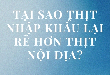 TẠI SAO THỊT NHẬP KHẨU LẠI RẺ HƠN THỊT NỘI ĐỊA