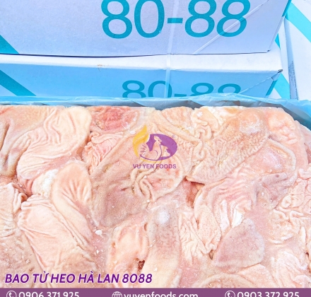 BAO TỬ HEO HÀ LAN