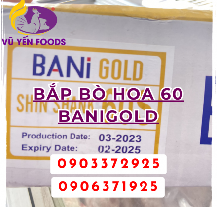 Bắp bò hoa 60 banigold