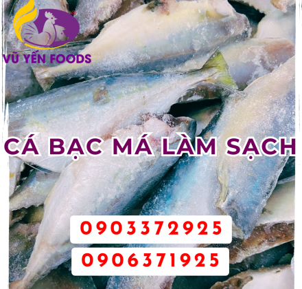 Cá bạc má làm sạch 