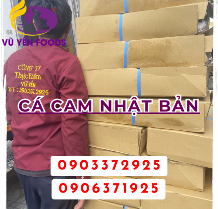 Cá cam Nhật Bản