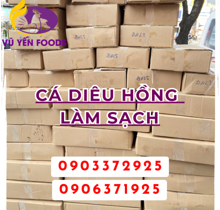 Cá diêu hồng làm sạch