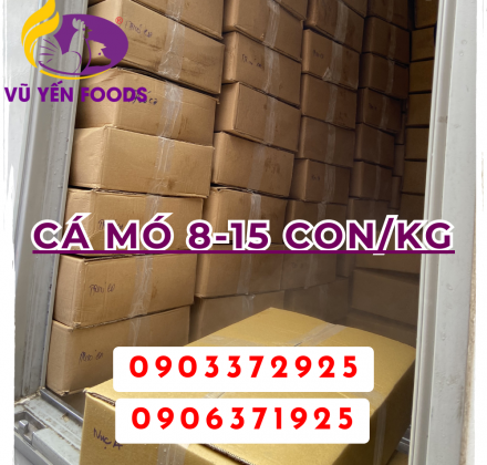 Cá mó 8-15 con/kg
