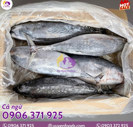CÁ NGỪ