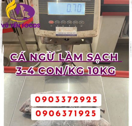 Cá ngừ làm sạch 3-4 con/kg 10kg