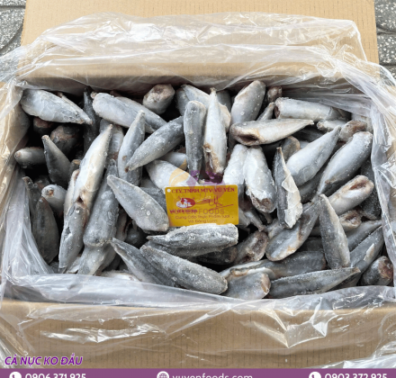 CÁ NỤC KHÔNG ĐẦU