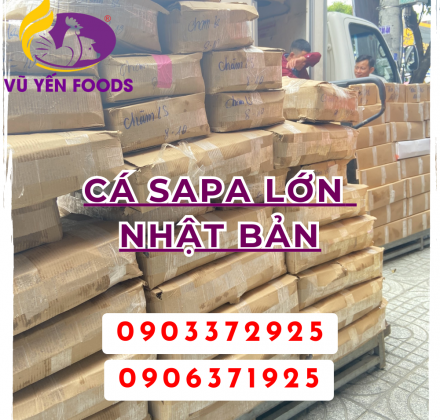 Cá sapa lớn Nhật Bản