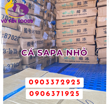 Cá sapa nhỏ 10Kg
