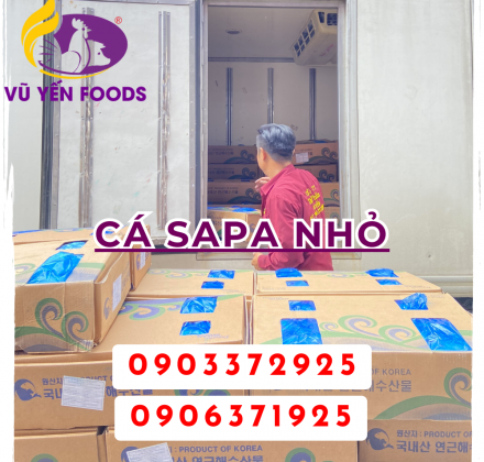 Cá Sapa nhỏ