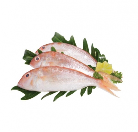 CÁ HƯỜNG