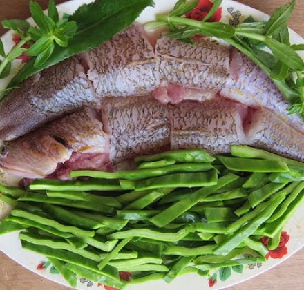 CÁ MỐI