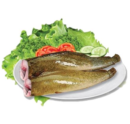 CÁ TRÊ BỎ ĐẦU