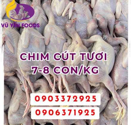 Chim Cút tươi 7-8 Con/kg