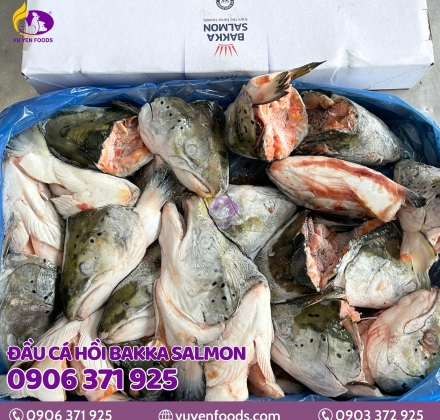 ĐẦU CÁ HỒI BAKKA SALMON