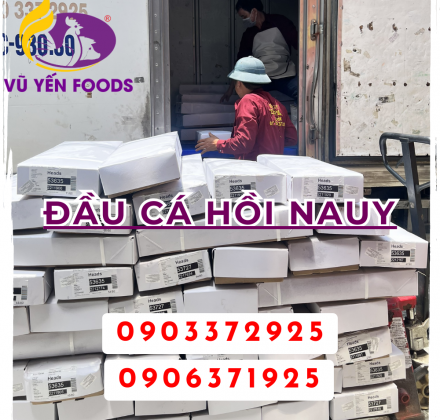 Đầu cá hồi Nauy