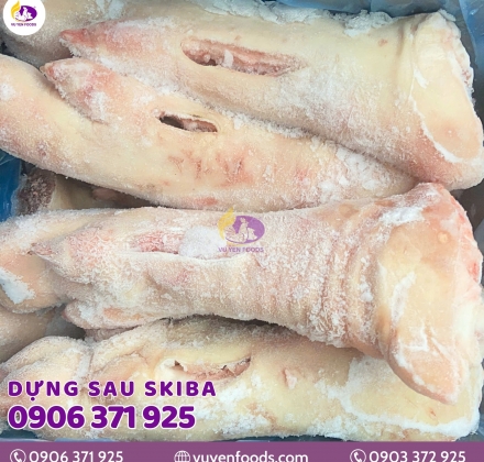 DỰNG SAU SKIBA