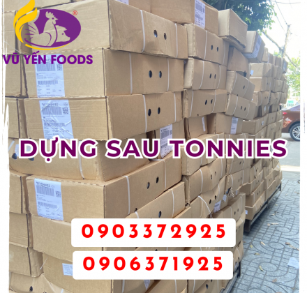 Dựng sau Tonnies 