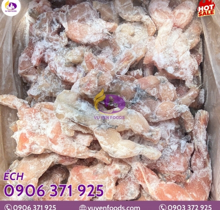 ẾCH ĐÔNG LẠNH