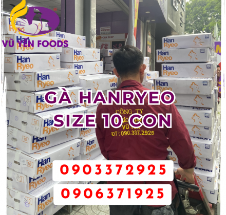 Gà hanryeo size 10 con
