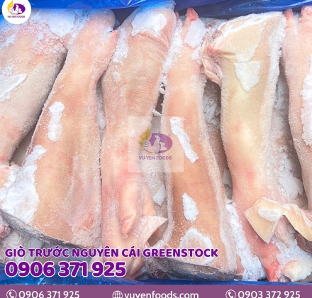 GIÒ HEO TRƯỚC NGUYÊN CÁI GREENSTOCK ÚC